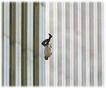 Queda desesperada e fatal de um dos ocupantes do World Trade Center!